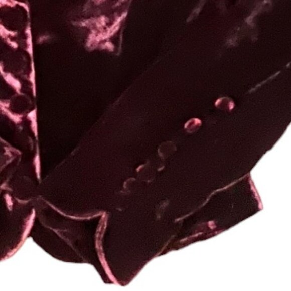 Blanc Noir Burgundy Velvet Lined Jacket, Button Front & Cuffs, Size M - Picture 6 of 7